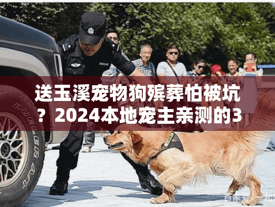 送玉溪宠物狗殡葬怕被坑?2024本地宠主亲测的3家靠谱机构+避坑攻略 送玉溪宠物狗殡葬怕被坑?2024本地宠主亲测的3家靠谱机构+避坑攻略