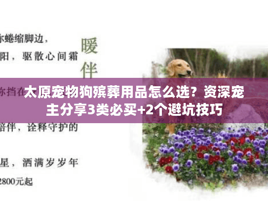 太原宠物狗殡葬用品怎么选?资深宠主分享3类必买+2个避坑技巧 太原宠物狗殡葬用品怎么选?资深宠主分享3类必买+2个避坑技巧