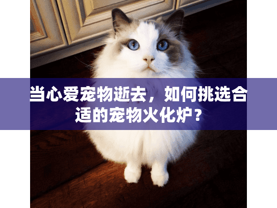 当心爱宠物逝去，如何挑选合适的宠物火化炉？