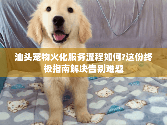 汕头宠物火化服务流程如何?这份终极指南解决告别难题