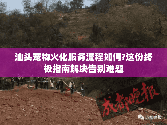 汕头宠物火化服务流程如何?这份终极指南解决告别难题