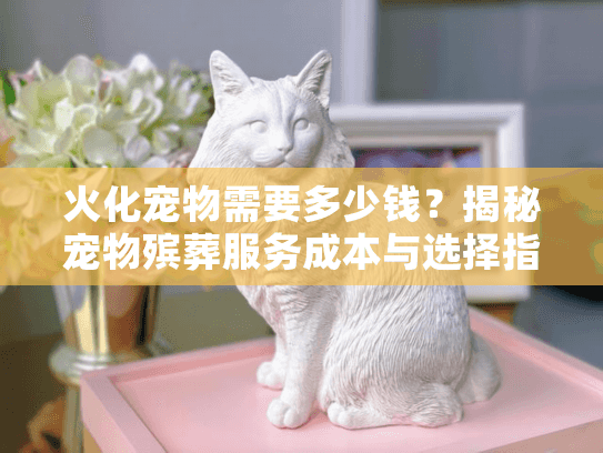 火化宠物需要多少钱？揭秘宠物殡葬服务成本与选择指南