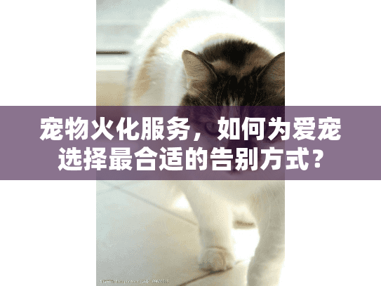 宠物火化服务，如何为爱宠选择最合适的告别方式？
