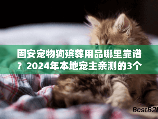 固安宠物狗殡葬用品哪里靠谱？2024年本地宠主亲测的3个实用技巧+良心商家推荐