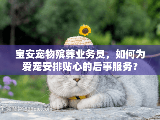 宝安宠物殡葬业务员，如何为爱宠安排贴心的后事服务？