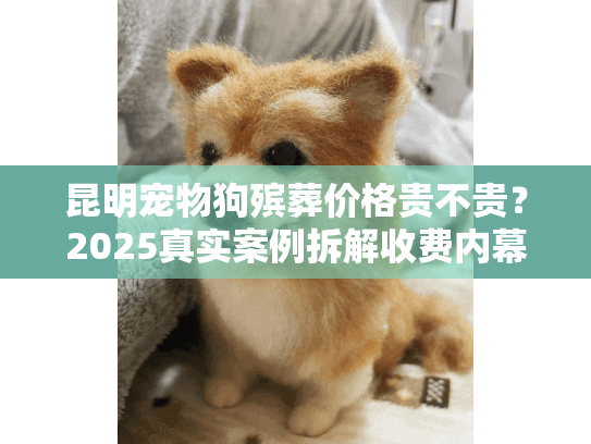昆明宠物狗殡葬价格贵不贵？2025真实案例拆解收费内幕，最新标准一文看懂！