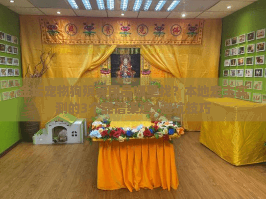 金坛宠物狗殡葬用品哪里找？本地宠主实测的3个靠谱渠道+避坑技巧