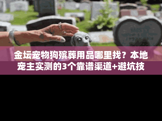 金坛宠物狗殡葬用品哪里找？本地宠主实测的3个靠谱渠道+避坑技巧