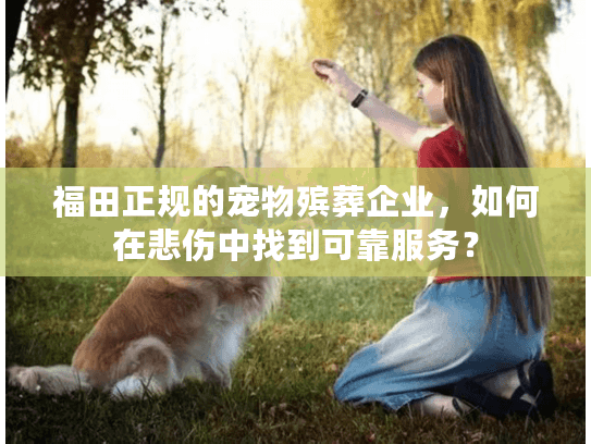福田正规的宠物殡葬企业，如何在悲伤中找到可靠服务？