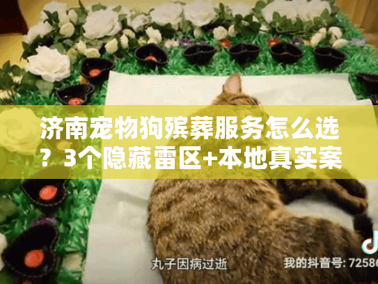 济南宠物狗殡葬服务怎么选?3个隐藏雷区+本地真实案例 济南宠物狗殡葬服务怎么选?3个隐藏雷区+本地真实案例