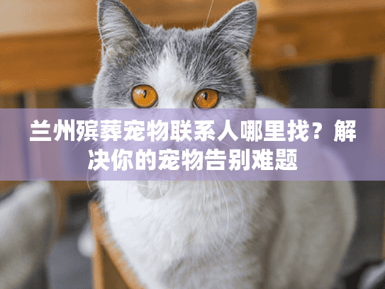 兰州殡葬宠物联系人哪里找？解决你的宠物告别难题