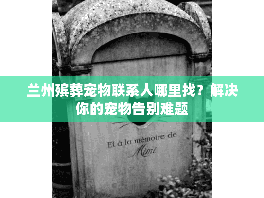 兰州殡葬宠物联系人哪里找？解决你的宠物告别难题