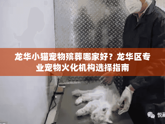 龙华小猫宠物殡葬哪家好？龙华区专业宠物火化机构选择指南