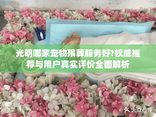 光明哪家宠物殡葬服务好?权威推荐与用户真实评价全面解析