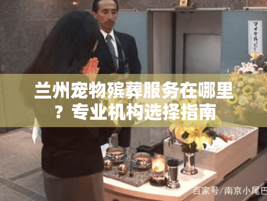 兰州宠物殡葬服务在哪里？专业机构选择指南