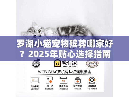 罗湖小猫宠物殡葬哪家好？2025年贴心选择指南