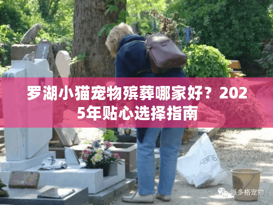罗湖小猫宠物殡葬哪家好？2025年贴心选择指南
