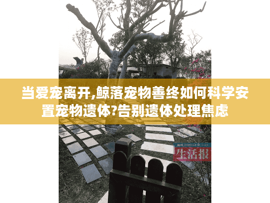 当爱宠离开,鲸落宠物善终如何科学安置宠物遗体?告别遗体处理焦虑
