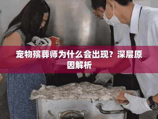 宠物殡葬师为什么会出现？深层原因解析