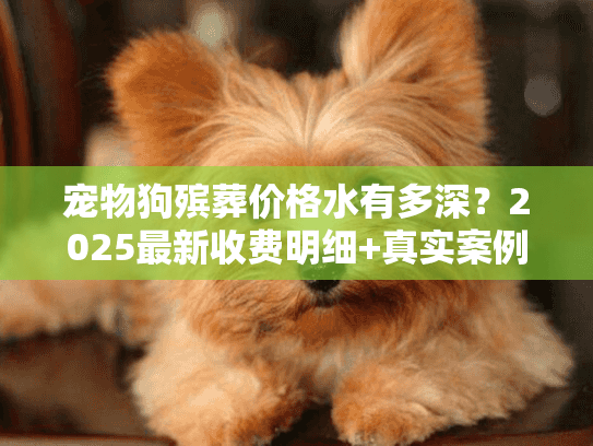 宠物狗殡葬价格水有多深？2025最新收费明细+真实案例避坑技巧