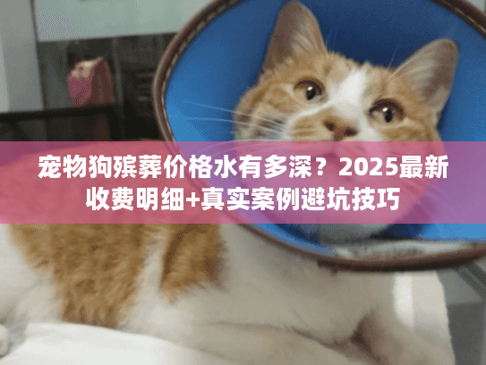 宠物狗殡葬价格水有多深？2025最新收费明细+真实案例避坑技巧