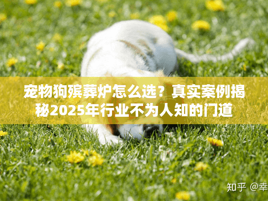 宠物狗殡葬炉怎么选？真实案例揭秘2025年行业不为人知的门道