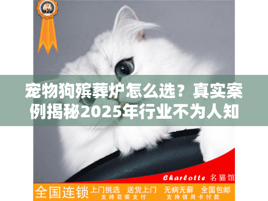 宠物狗殡葬炉怎么选？真实案例揭秘2025年行业不为人知的门道