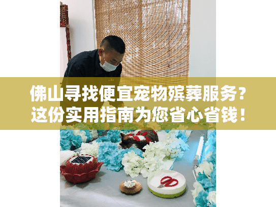 佛山寻找便宜宠物殡葬服务？这份实用指南为您省心省钱！