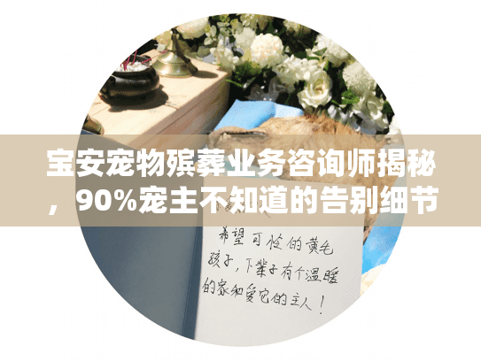 宝安宠物殡葬业务咨询师揭秘，90%宠主不知道的告别细节，看完少花冤枉钱！