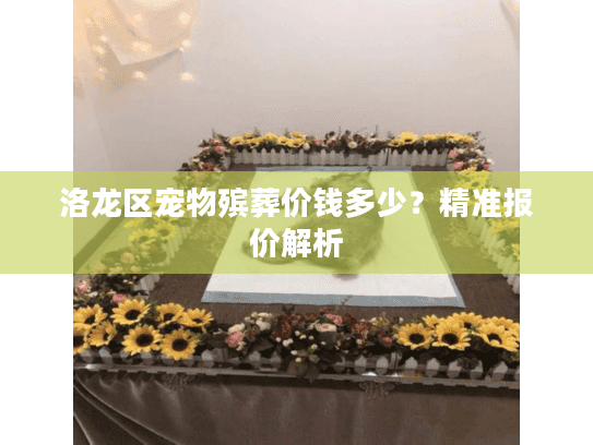 洛龙区宠物殡葬价钱多少？精准报价解析