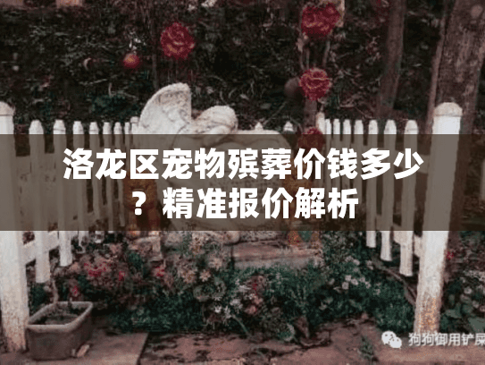 洛龙区宠物殡葬价钱多少？精准报价解析