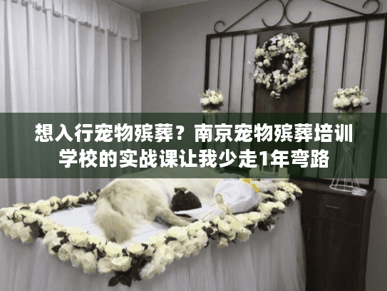 想入行宠物殡葬？南京宠物殡葬培训学校的实战课让我少走1年弯路