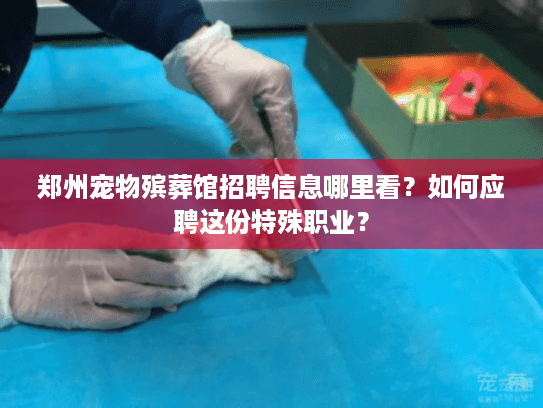 郑州宠物殡葬馆招聘信息哪里看？如何应聘这份特殊职业？