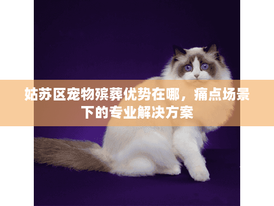 姑苏区宠物殡葬优势在哪，痛点场景下的专业解决方案