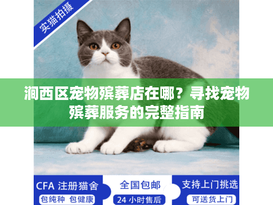 涧西区宠物殡葬店在哪？寻找宠物殡葬服务的完整指南