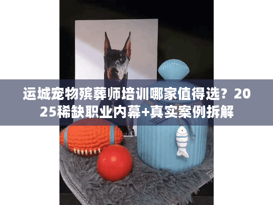 运城宠物殡葬师培训哪家值得选？2025稀缺职业内幕+真实案例拆解