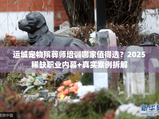 运城宠物殡葬师培训哪家值得选？2025稀缺职业内幕+真实案例拆解