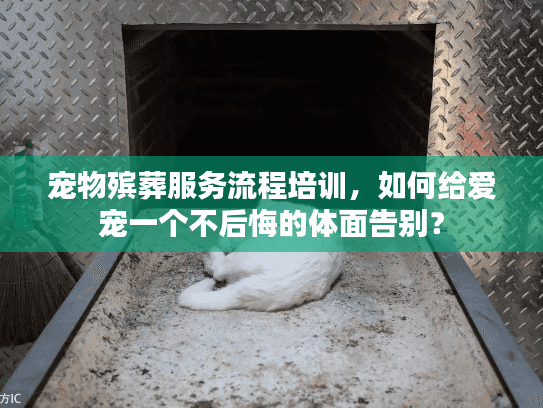 宠物殡葬服务流程培训，如何给爱宠一个不后悔的体面告别？