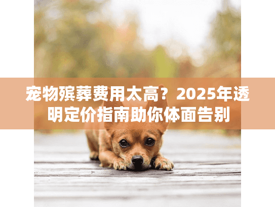宠物殡葬费用太高？2025年透明定价指南助你体面告别