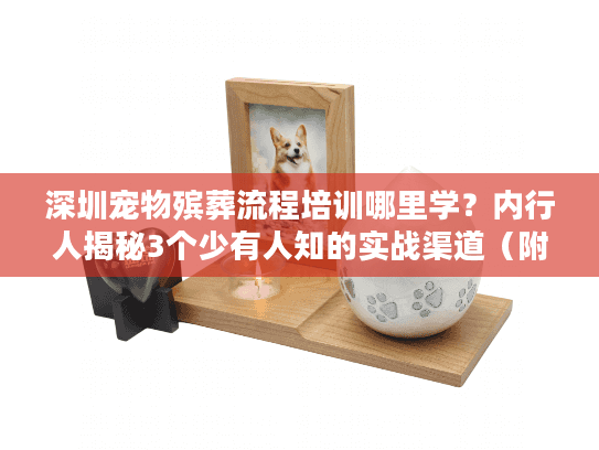 深圳宠物殡葬流程培训哪里学？内行人揭秘3个少有人知的实战渠道（附2025真实案例）