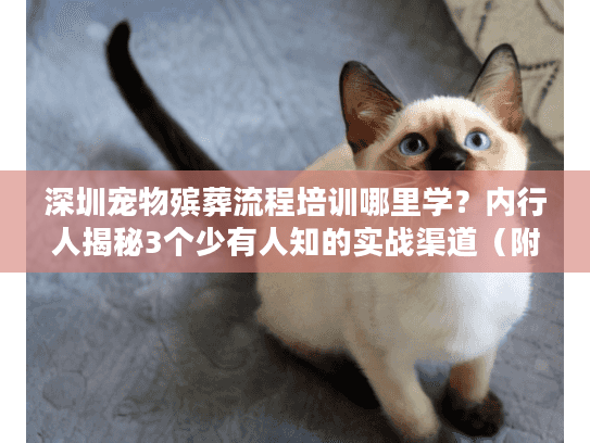 深圳宠物殡葬流程培训哪里学？内行人揭秘3个少有人知的实战渠道（附2025真实案例）