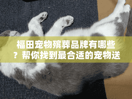 福田宠物殡葬品牌有哪些？帮你找到最合适的宠物送别服务