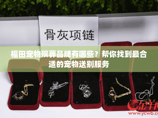 福田宠物殡葬品牌有哪些？帮你找到最合适的宠物送别服务