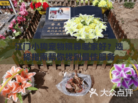 江门小狗宠物殡葬哪家好？选择指南帮你找到最佳服务