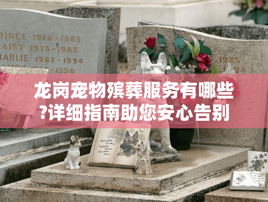 龙岗宠物殡葬服务有哪些?详细指南助您安心告别