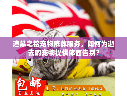 追慕之铭宠物殡葬服务，如何为逝去的宠物提供体面告别？