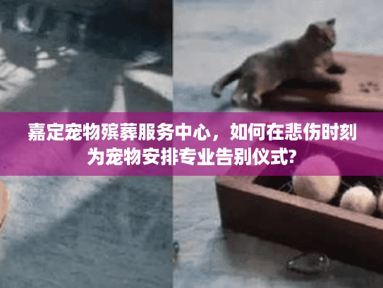 嘉定宠物殡葬服务中心，如何在悲伤时刻为宠物安排专业告别仪式?