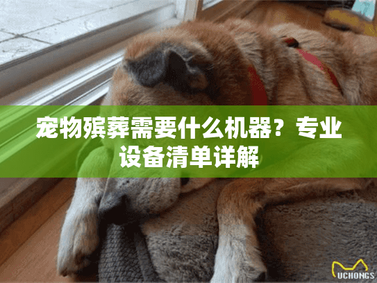 宠物殡葬需要什么机器？专业设备清单详解