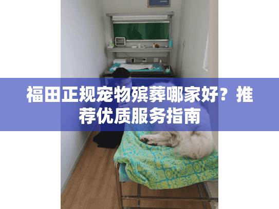 福田正规宠物殡葬哪家好？推荐优质服务指南