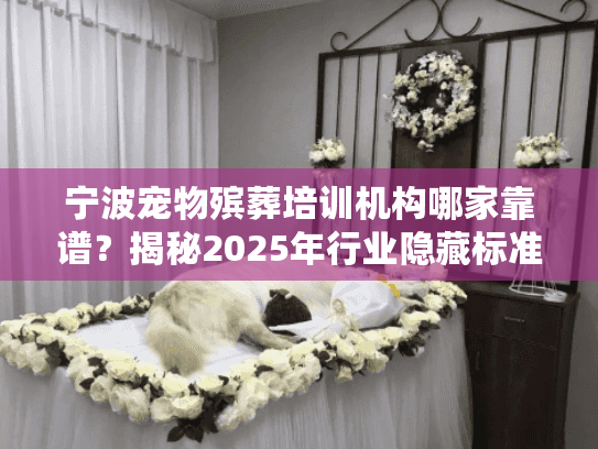 宁波宠物殡葬培训机构哪家靠谱？揭秘2025年行业隐藏标准与真实案例
